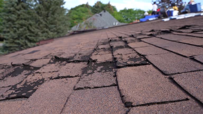 Best Roof Insulation Installation  in Louisvle, IL
