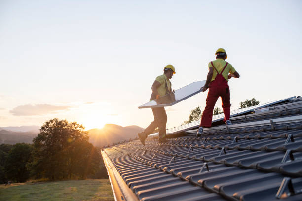 Best Roof Maintenance and Cleaning  in Louisvle, IL